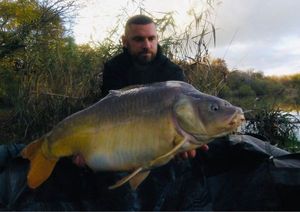 Mirror Carp