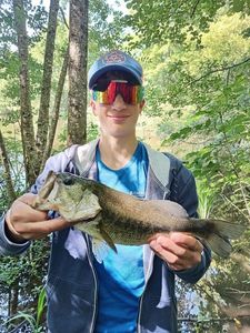 Largemouth Bass