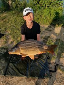 Common Carp