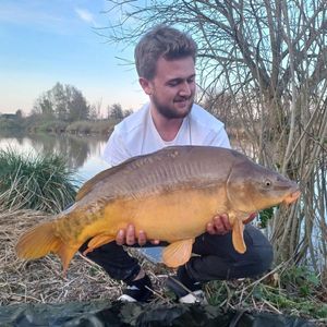 Mirror Carp