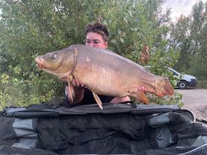 Mirror Carp