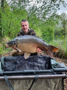 Mirror Carp
