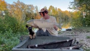 Grass Carp