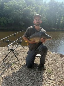 Mirror Carp