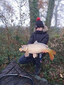 Common Carp