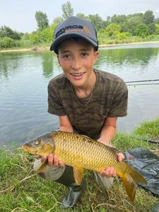 Common Carp