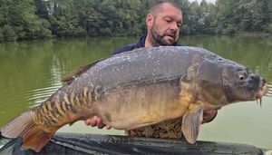 Mirror Carp