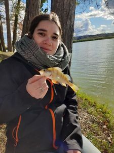European Perch