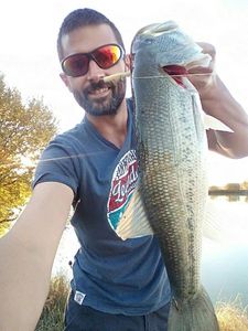 Largemouth Bass