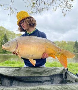 Mirror Carp