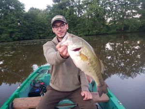 Largemouth Bass