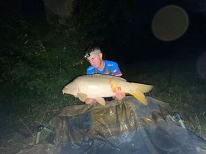 Mirror Carp
