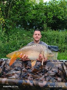 Mirror Carp