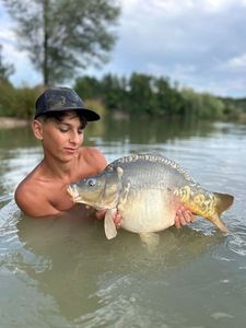 Mirror Carp