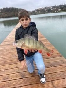 European Perch