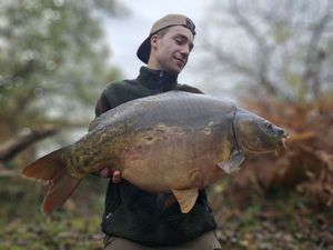 Mirror Carp