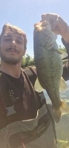 Largemouth Bass