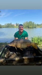 Mirror Carp