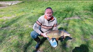 Common Carp
