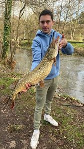 Northern Pike