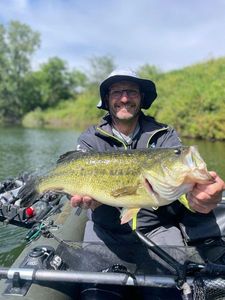 Largemouth Bass