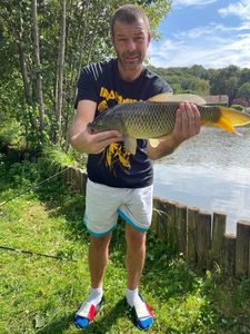 Common Carp