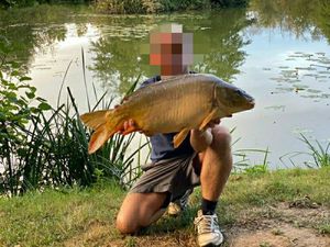 Mirror Carp