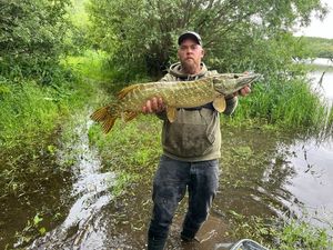 Northern Pike