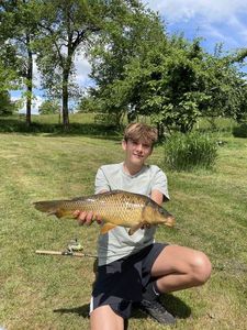 Common Carp