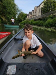 Northern Pike