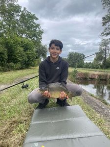 Mirror Carp