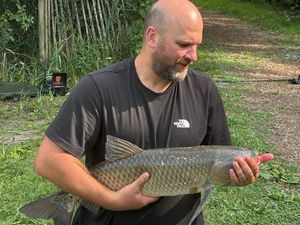 Grass Carp