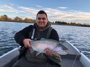 Rainbow Trout