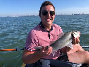 European Bass (Seabass)