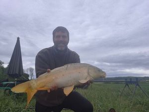 Mirror Carp