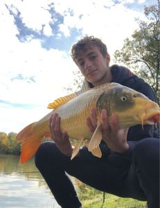 Koï Fish
