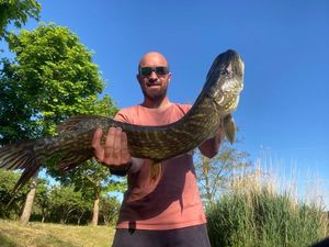 Northern Pike