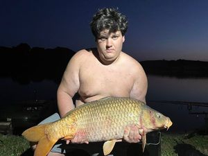 Common Carp