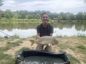 Common Carp