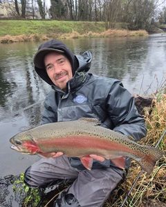 Rainbow Trout
