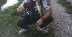 Largemouth Bass