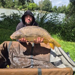 Mirror Carp