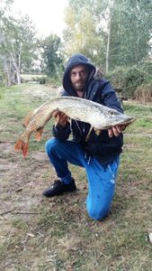Northern Pike