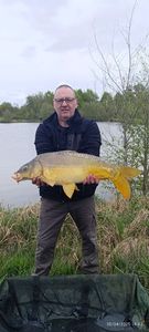 Mirror Carp