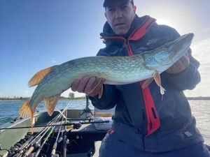 Northern Pike
