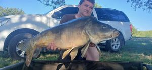 Mirror Carp