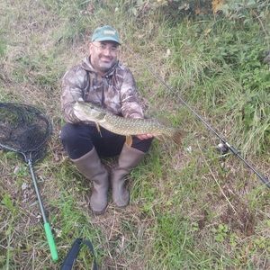 Northern Pike