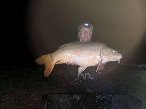 Mirror Carp