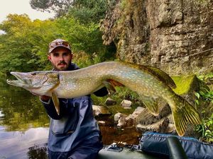 Northern Pike