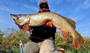 Northern Pike